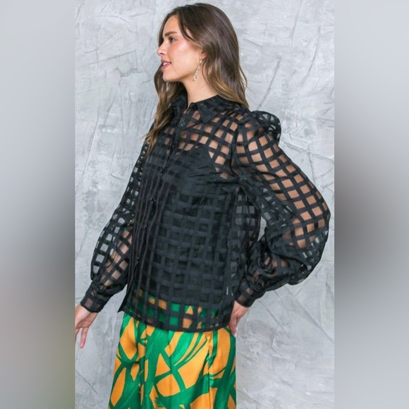 NWT SOPHIA Sheer Checkered Long Sleeve Blouse | Boutique - Picture 3 of 6